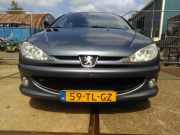 Stoßstange vorne Peugeot 206 SW 2E/K 7401N3