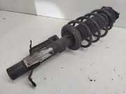 Federbein rechts vorne Ford Fiesta V JH, JD 2S615B450KY