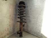 Federbein rechts vorne Suzuki Swift III EZ, MZ 4160162J12