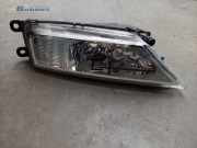 Nebelscheinwerfer links vorne VW Tiguan II AD 5NA941699A