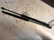 Heckklappendämpfer Audi Q5 8R 8R082755201S