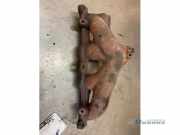 Auspuffkrümmer Seat Arosa 6H 030253033H