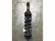 Federbein links hinten MG MG ZR