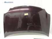 Motorhaube VW Polo IV 9N, 9A 6QE823031B
