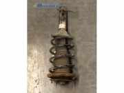 Federbein rechts vorne Rover 25 RF