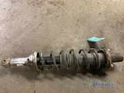 Federbein links hinten Rover 25 RF