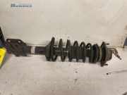 Federbein rechts vorne Daihatsu Sirion M1