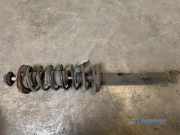 Federbein rechts hinten VW Golf II 19E