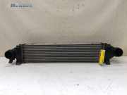 Ladeluftkühler Land Rover Range Rover Evoque I L538 6G919L440CD