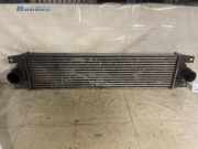 Ladeluftkühler Opel Movano Combi X70 874806M