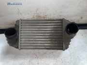 Ladeluftkühler Fiat Stilo 192