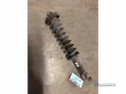 Federbein rechts hinten Rover 400 Hatchback RT