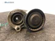 Riemenspanner Dacia Duster HS 117504048R