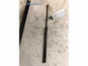 Gasdruckfeder VW Polo IV 9N, 9A 4838QG0310N