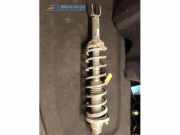 Federbein links hinten Rover 600 RH