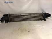 Ladeluftkühler Ford Focus II DA, DP, HCP 3M5H9L440AE