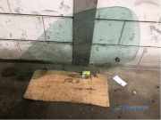 Türscheibe links Toyota MR 2 I W3