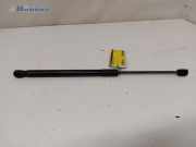 Heckklappendämpfer links Hyundai i10 IA 81770B9010