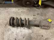 Federbein links vorne Fiat Ducato Pritsche 290