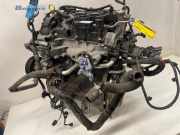 Motor ohne Anbauteile (Benzin) Ford Fiesta VI CB1, CCN CA6G6006BA