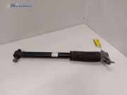Stoßdämpfer links hinten Tesla Model 3 5YJ3 104446101E