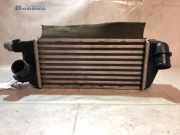 Ladeluftkühler Fiat 500 312 51855481