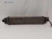 Ladeluftkühler Fiat Doblo Kasten 263 866455500