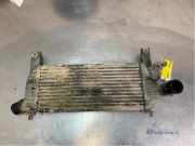 Ladeluftkühler Nissan Navara D40 14461EB360