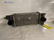 Ladeluftkühler Land Rover Freelander 1 L314