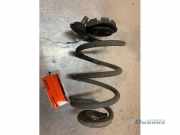 Feder hinten Renault Clio III BR0/1, CR0/1 8200461603