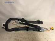 Airbag Dach links Ford Focus II Turnier DA, DS, FFS 7M51N14K159AE