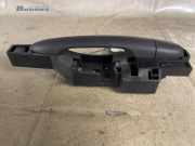 Türgriff hinten Renault Kangoo II Rapid FW0 8200497521