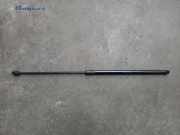 Gasdruckfeder VW Tiguan II AD 5NA82335905S