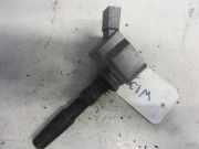 Zündspule VW Polo V 6R, 6C 04E905110B