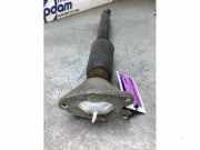 Stoßdämpfer links hinten BMW 3er Touring F31 14941510