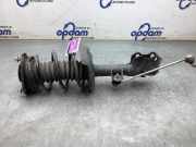 Federbein links vorne Toyota Corolla Cross MXG, ZSG 4852016480