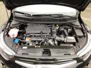 Motor ohne Anbauteile (Benzin) Kia Stonic YB