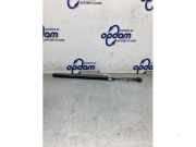 Gasdruckfeder Ford Kuga III DFK LV4BS406A11CA