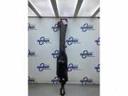 Kühlerträger Renault Scenic IV J9