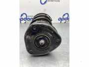 Federbein rechts vorne Ford Focus IV HN JX6118045