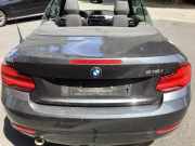Heckklappe / Heckdeckel BMW 2er Cabriolet F23 41007430390