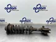 Federbein links vorne Suzuki Ignis FH 4160280G10