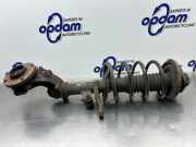 Federbein links vorne Peugeot 106 II