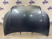 Motorhaube Citroen C4 I LC 7901L1