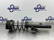 Federbein links vorne BMW 3er E90 31318036553