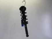 Federbein rechts hinten Nissan Almera Tino V10 56210BU000