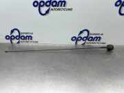 Antenne Dach Peugeot Partner II Kasten 6561SZ