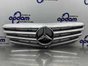 Kühlergrill Mercedes-Benz B-Klasse Sports Tourer W245 A1698800783