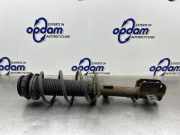 Federbein links vorne Suzuki Swift IV FZ, NZ 4160268L00