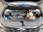 Motor ohne Anbauteile (Benzin) Hyundai Tucson IV NX4A, NX4E Z87212MZ00